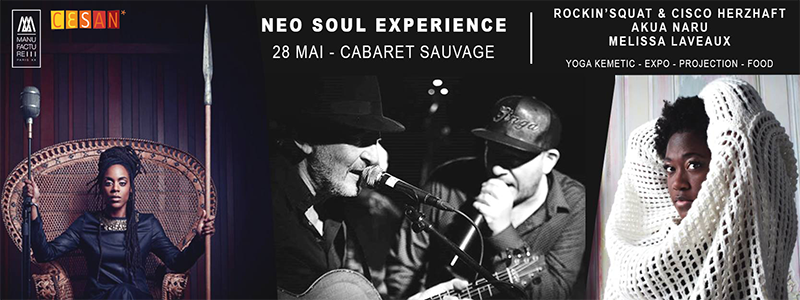 Neo Soul Experience